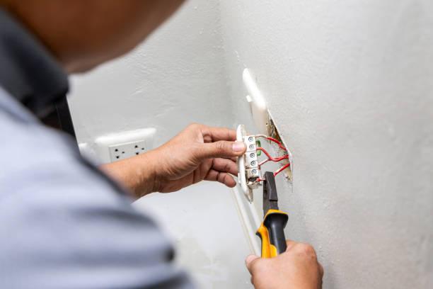Best Electric Panel Repair  in Hasley Nyon, CA